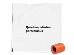 Zobrazit detail Odparník QP Obrázek z Odparník QP