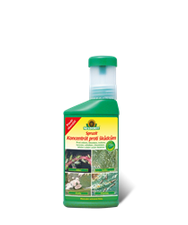 Zobrazit detail Spruzit koncentrát proti škůdcům 250 ml Obrázek z Spruzit koncentrát proti škůdcům 250 ml