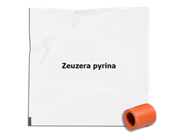 Zobrazit detail Odparník ZP Obrázek z Odparník ZP