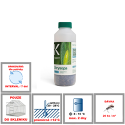 Zobrazit detail CHRYSOPA Obrázek z CHRYSOPA