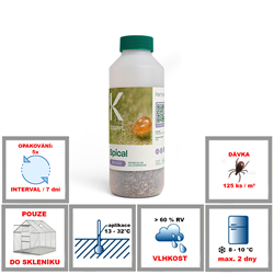 Zobrazit detail SPICAL Obrázek z SPICAL