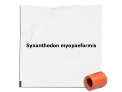 Zobrazit detail Odparník SM Obrázek z Odparník SM