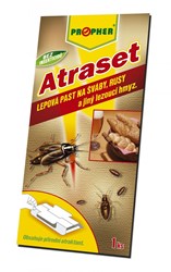 Obrázek z ATRASET na švábovitý hmyz