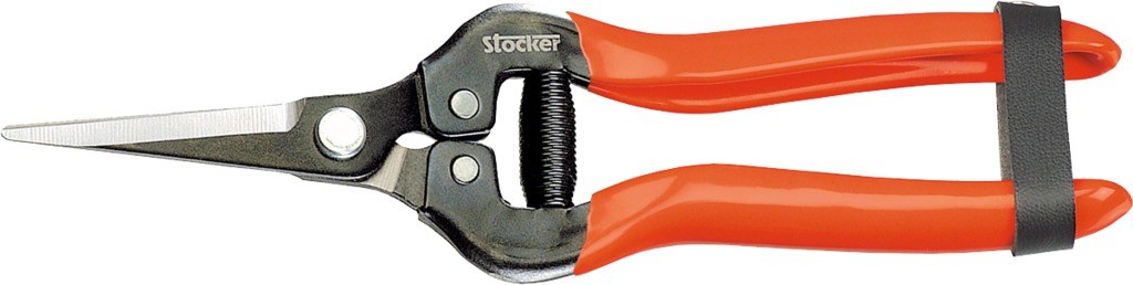 Obrázek z Nůžky pro vinaře Stocker 19 cm