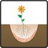 Obrázek z Symbivit květ 750 g / bal., Picture 3