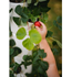 Obrázek z Čtyřpatrový jahodový strom Sissi Strawberry, Picture 4